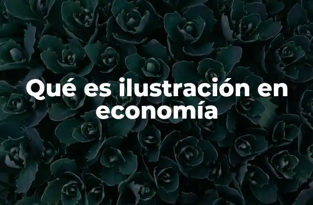 Qué es Ilustración en Economía