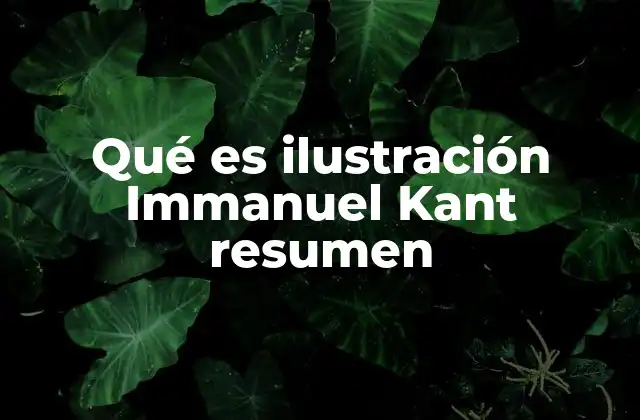 Qué es Ilustración Immanuel Kant Resumen