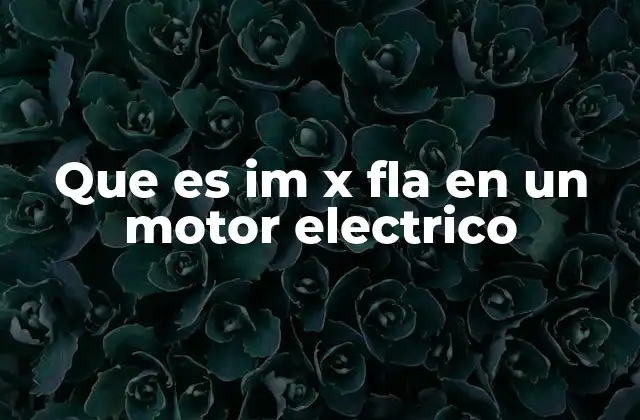 Que es Im X Fla en un Motor Electrico