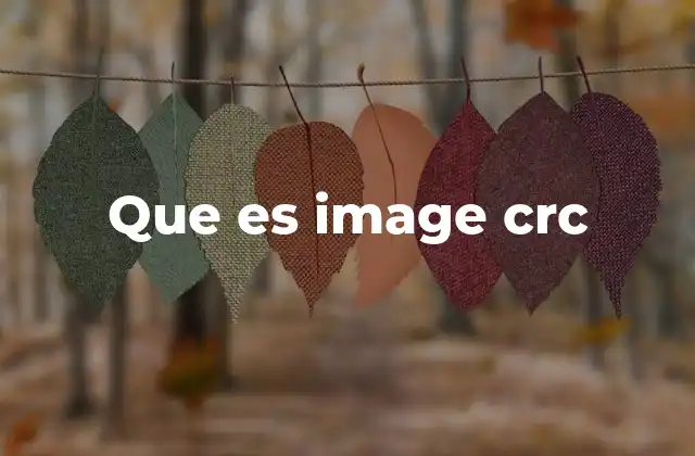 Que es Image Crc 2 La importancia de verificar la integridad de los archivos