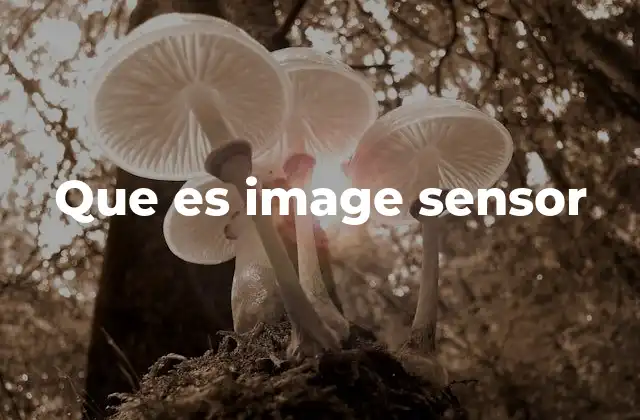 Que es Image Sensor