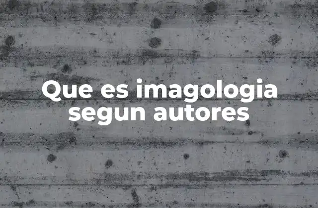 Que es Imagologia Segun Autores