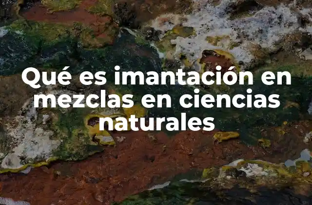 Qué es Imantación en Mezclas en Ciencias Naturales
