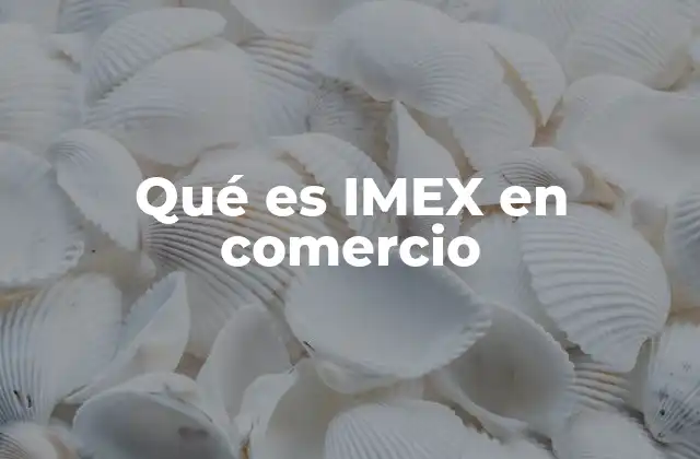 Qué es Imex en Comercio