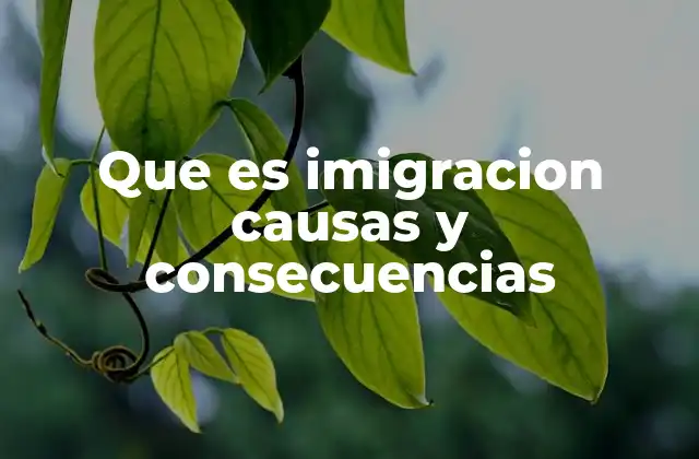 Que es Imigracion Causas y Consecuencias