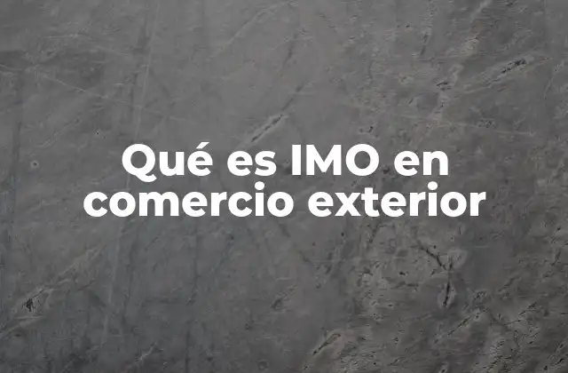 Qué es Imo en Comercio Exterior