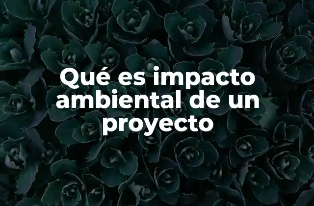 Qué es Impacto Ambiental de un Proyecto
