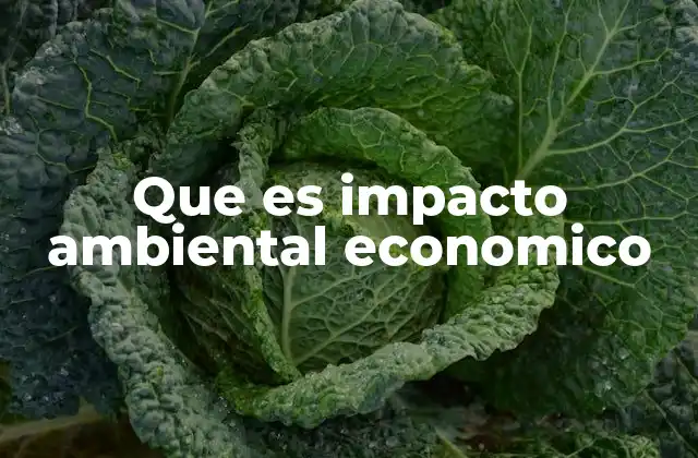 Que es Impacto Ambiental Economico