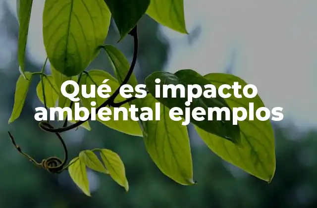 Qué es Impacto Ambiental Ejemplos