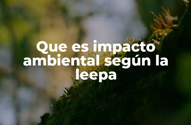 El impacto ambiental como herramienta de gestión ambiental