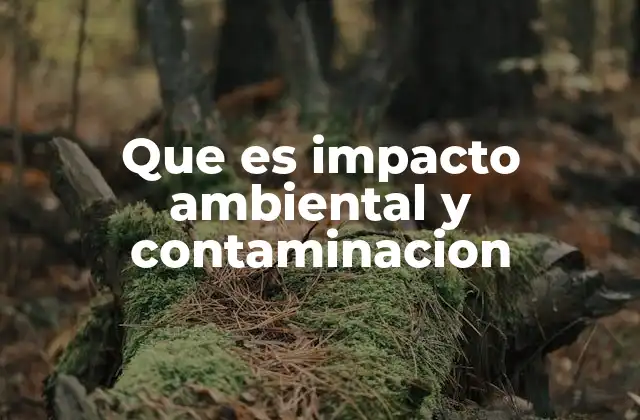 Que es Impacto Ambiental y Contaminacion 2 Cómo la actividad humana afecta el entorno natural