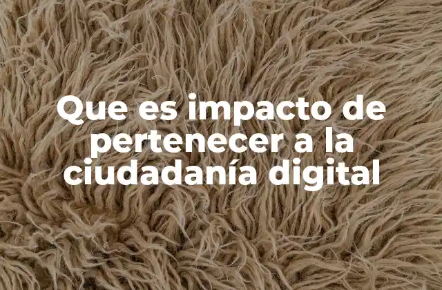 Que es Impacto de Pertenecer a la Ciudadanía Digital