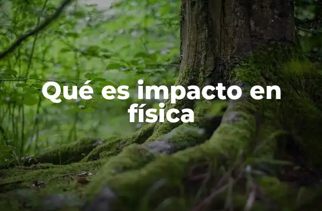 Qué es Impacto en Física