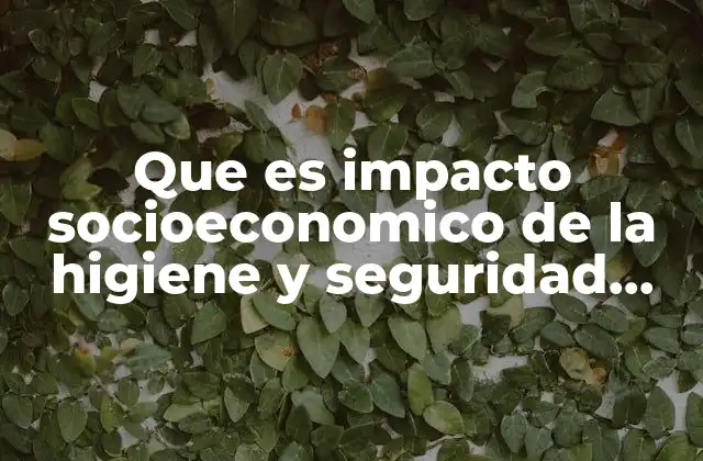 Que es Impacto Socioeconomico de la Higiene y Seguridad Laboral