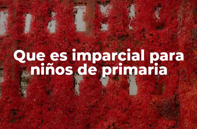 Que es Imparcial para Niños de Primaria