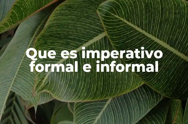 Que es Imperativo Formal e Informal