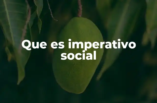Que es Imperativo Social
