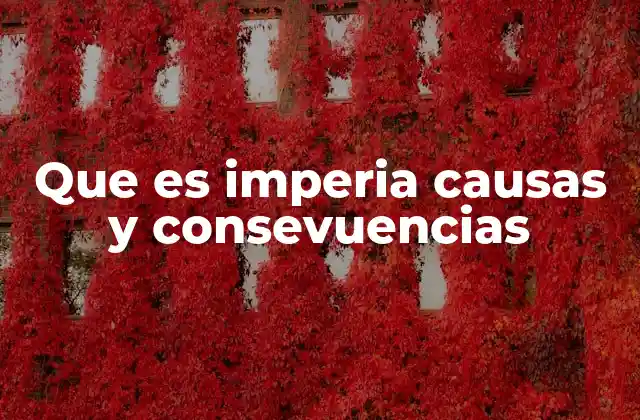 Que es Imperia Causas y Consevuencias