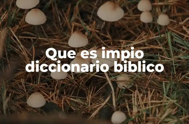 Que es Impio Diccionario Biblico