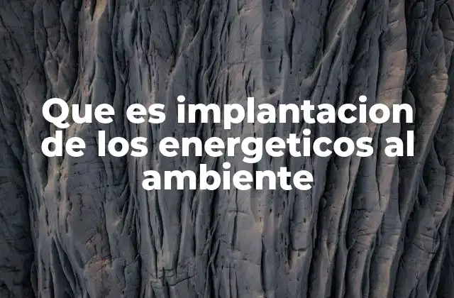Que es Implantacion de los Energeticos Al Ambiente