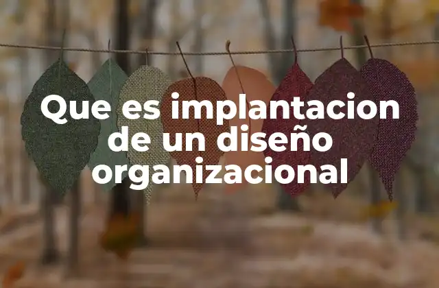 Que es Implantacion de un Diseño Organizacional