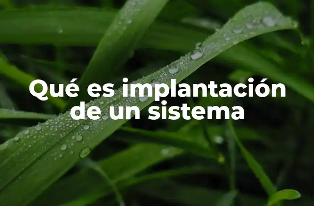 Qué es Implantación de un Sistema