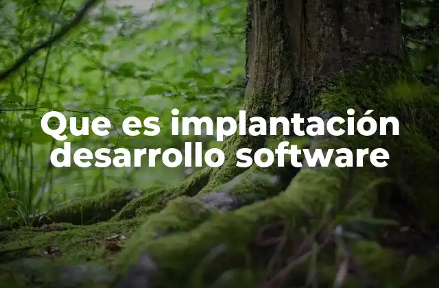 La importancia de la integración exitosa de software