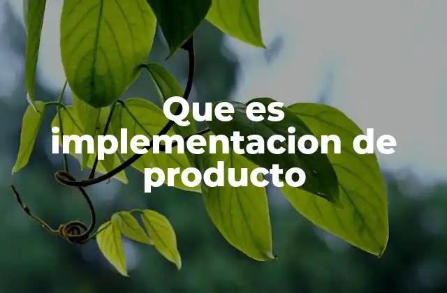 Que es Implementacion de Producto
