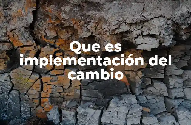 Que es Implementación Del Cambio