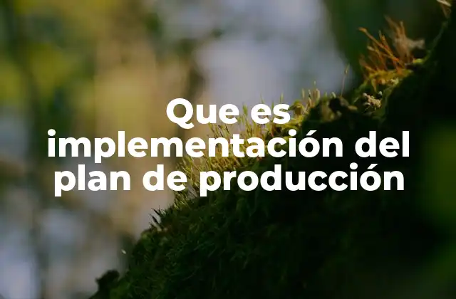 Que es Implementación Del Plan de Producción