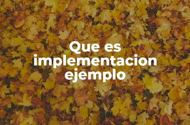 Que es Implementacion Ejemplo