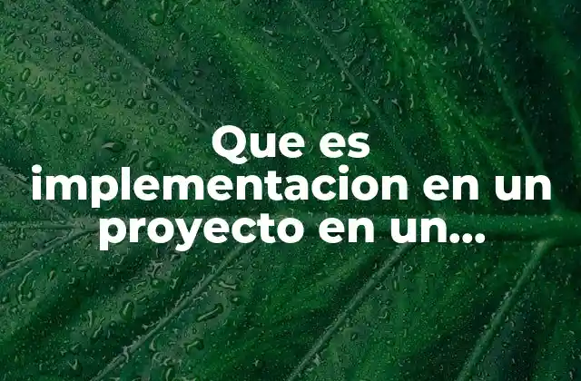 Que es Implementacion en un Proyecto en un Proyecto Dijital