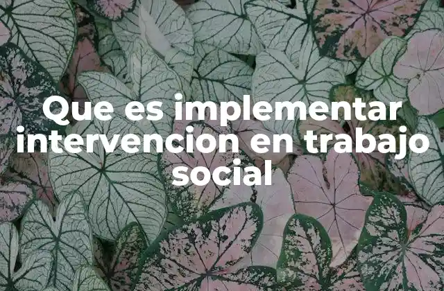 El papel del trabajo social en el proceso de intervención