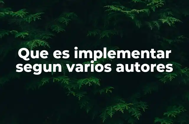 Que es Implementar Segun Varios Autores