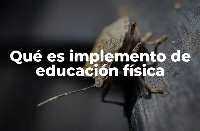 Qué es Implemento de Educación Física