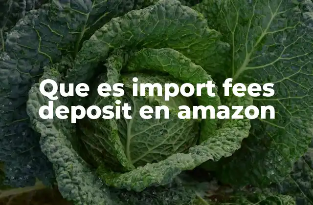 Que es Import Fees Deposit en Amazon