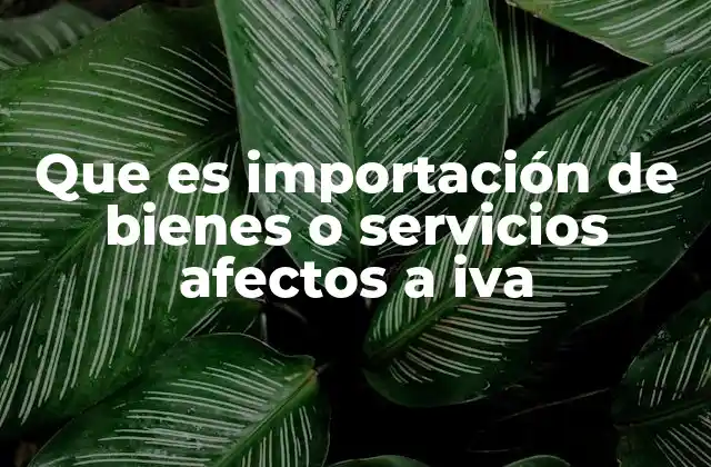 Que es Importación de Bienes o Servicios Afectos a Iva