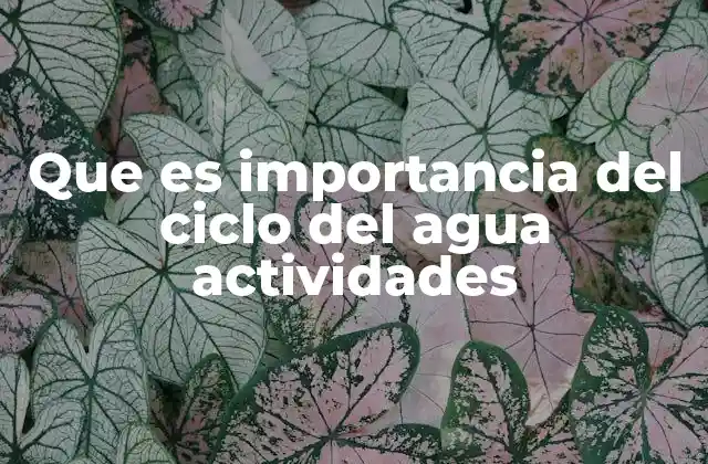 Que es Importancia Del Ciclo Del Agua Actividades
