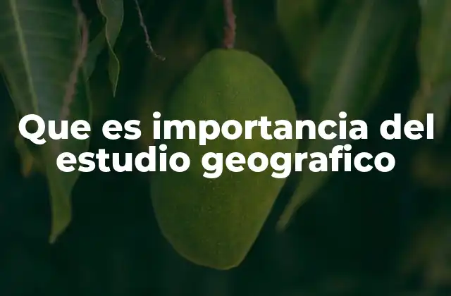 Que es Importancia Del Estudio Geografico