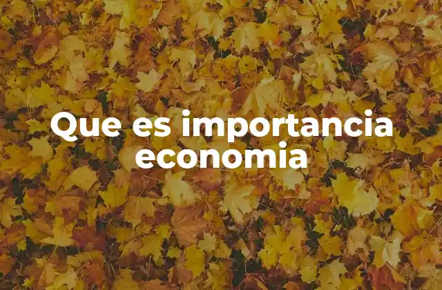 Que es Importancia Economia
