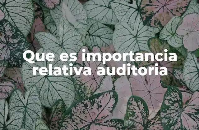 Que es Importancia Relativa Auditoria