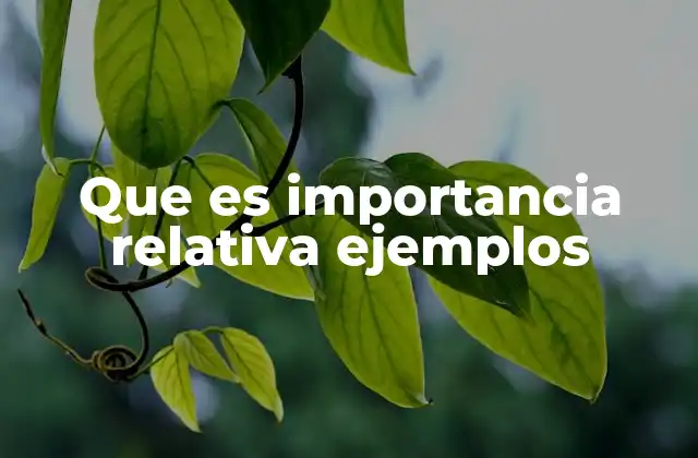 Que es Importancia Relativa Ejemplos