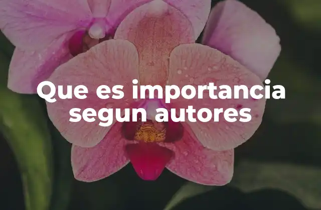 Que es Importancia Segun Autores