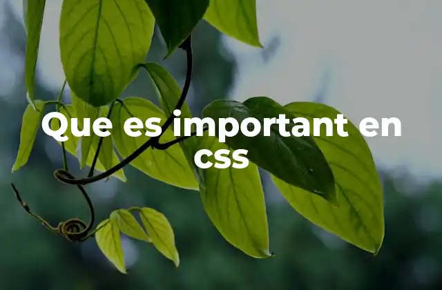 Que es Important en Css