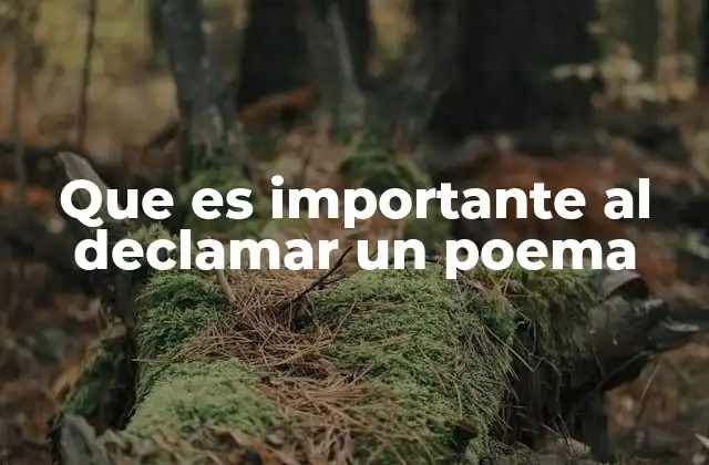 Que es Importante Al Declamar un Poema