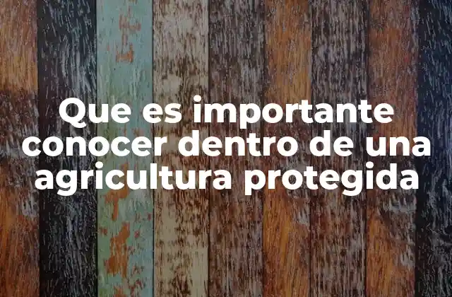 Que es Importante Conocer Dentro de una Agricultura Protegida
