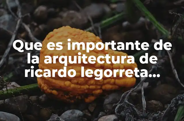 Que es Importante de la Arquitectura de Ricardo Legorreta Vilchis