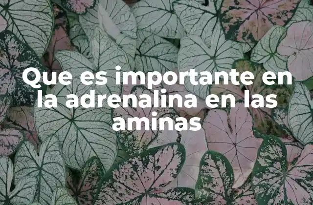Que es Importante en la Adrenalina en las Aminas