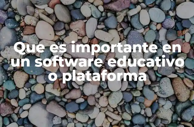 Que es Importante en un Software Educativo o Plataforma