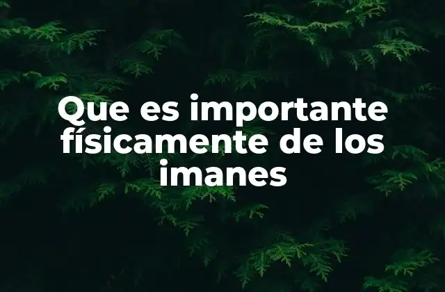 Que es Importante Físicamente de los Imanes